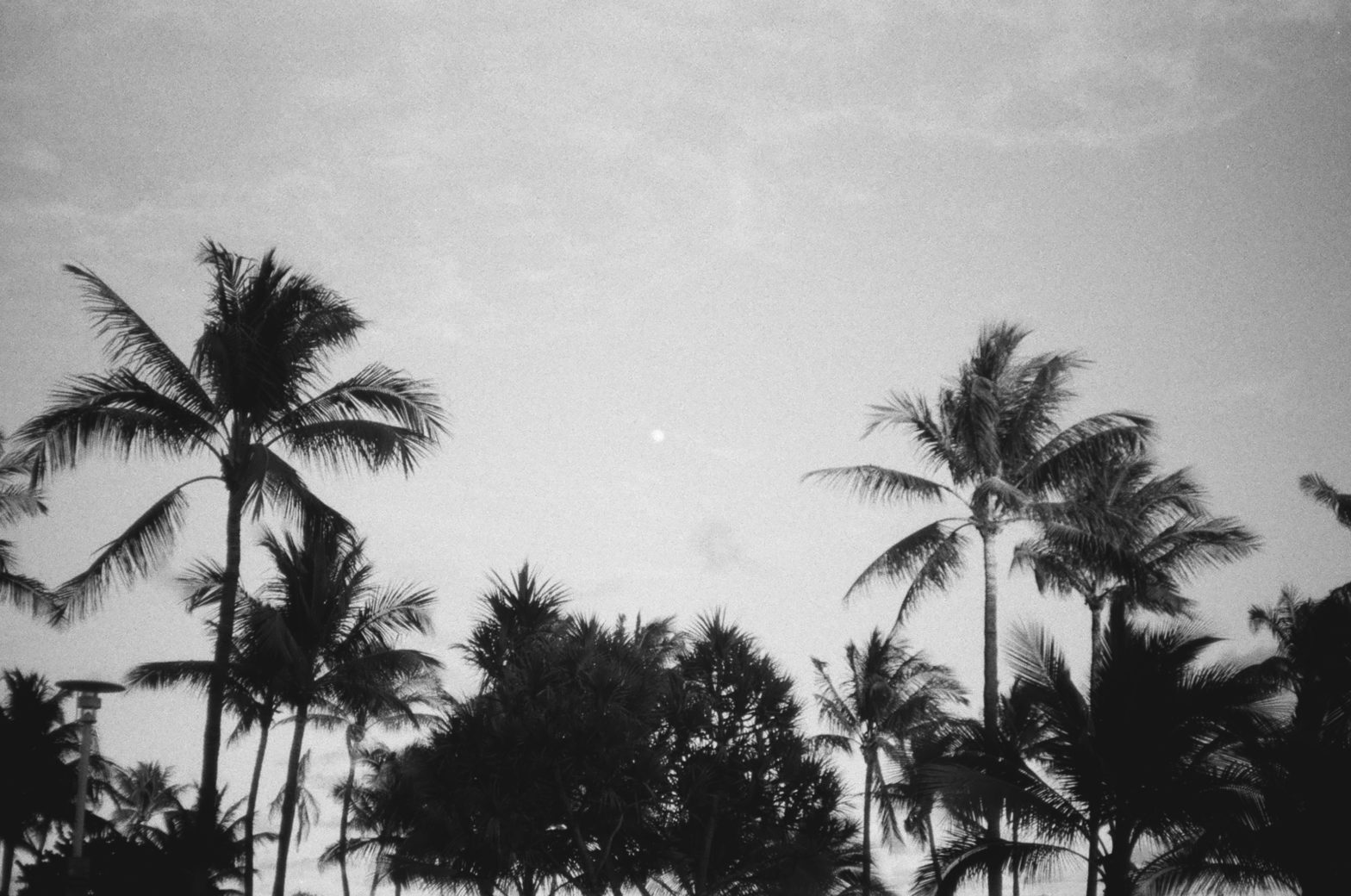 The moon Miami South beach